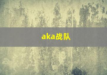 aka战队