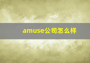 amuse公司怎么样