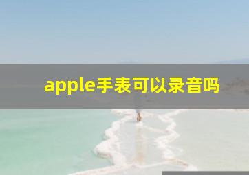 apple手表可以录音吗