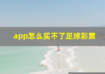 app怎么买不了足球彩票