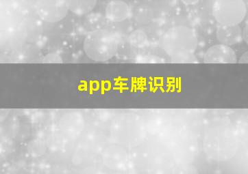 app车牌识别