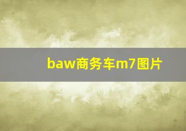 baw商务车m7图片