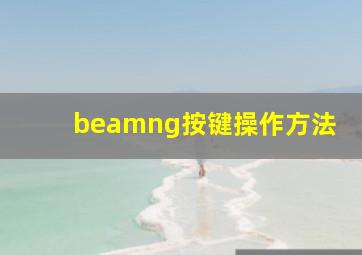 beamng按键操作方法