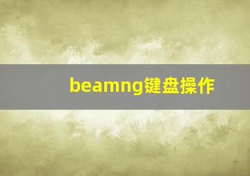 beamng键盘操作