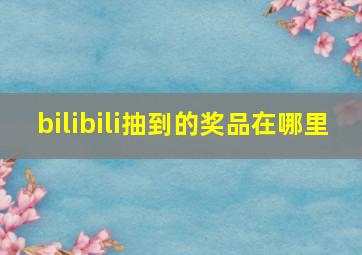 bilibili抽到的奖品在哪里