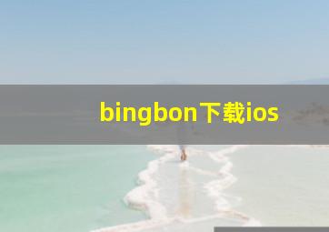 bingbon下载ios