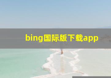 bing国际版下载app