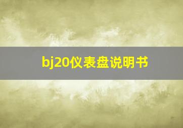 bj20仪表盘说明书