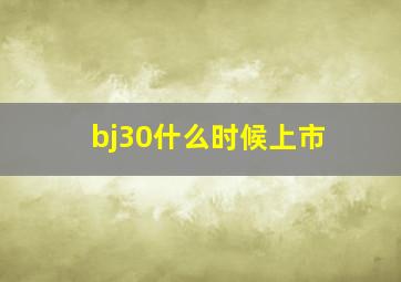 bj30什么时候上市