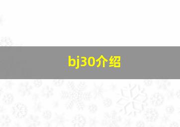 bj30介绍