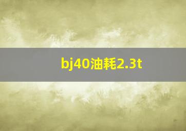 bj40油耗2.3t