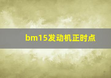 bm15发动机正时点