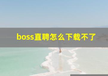 boss直聘怎么下载不了