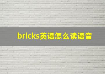 bricks英语怎么读语音