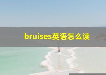 bruises英语怎么读