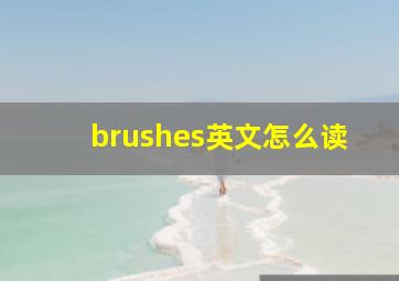 brushes英文怎么读