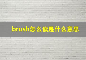 brush怎么读是什么意思