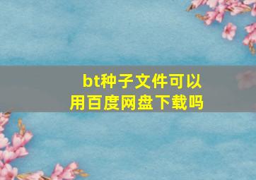 bt种子文件可以用百度网盘下载吗