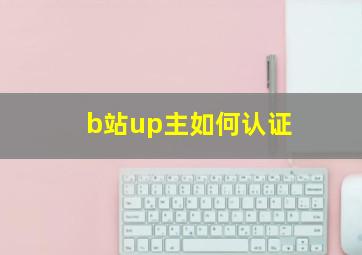 b站up主如何认证