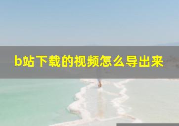 b站下载的视频怎么导出来