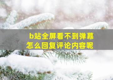 b站全屏看不到弹幕怎么回复评论内容呢