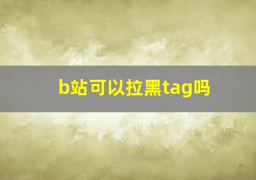 b站可以拉黑tag吗