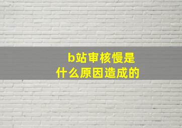 b站审核慢是什么原因造成的