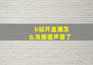 b站开直播怎么没画面声音了