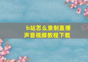 b站怎么录制直播声音视频教程下载