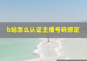 b站怎么认证主播号码绑定