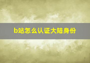 b站怎么认证大陆身份