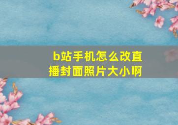 b站手机怎么改直播封面照片大小啊