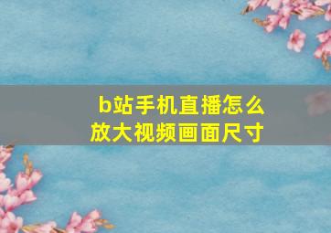 b站手机直播怎么放大视频画面尺寸