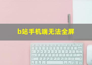 b站手机端无法全屏