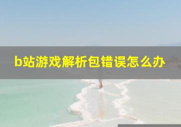 b站游戏解析包错误怎么办