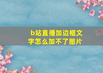 b站直播加边框文字怎么加不了图片