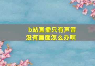 b站直播只有声音没有画面怎么办啊