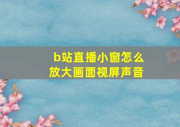 b站直播小窗怎么放大画面视屏声音