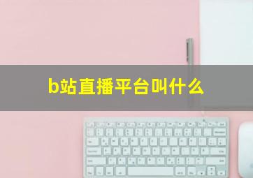 b站直播平台叫什么