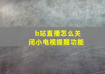 b站直播怎么关闭小电视提醒功能