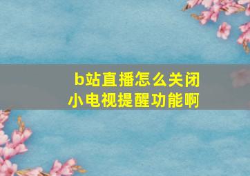 b站直播怎么关闭小电视提醒功能啊