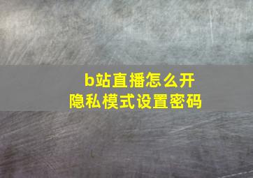 b站直播怎么开隐私模式设置密码