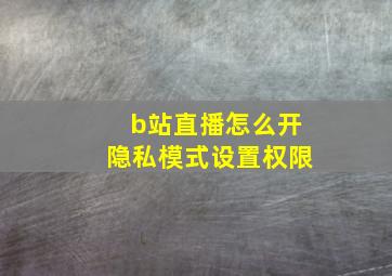 b站直播怎么开隐私模式设置权限