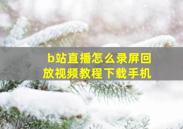 b站直播怎么录屏回放视频教程下载手机