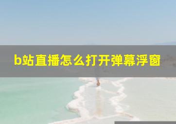 b站直播怎么打开弹幕浮窗