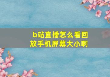 b站直播怎么看回放手机屏幕大小啊