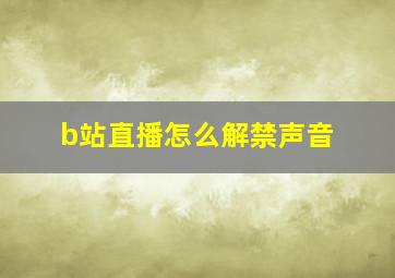 b站直播怎么解禁声音