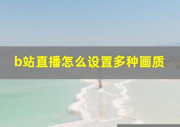 b站直播怎么设置多种画质