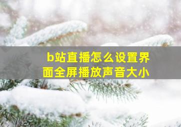 b站直播怎么设置界面全屏播放声音大小