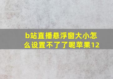 b站直播悬浮窗大小怎么设置不了了呢苹果12